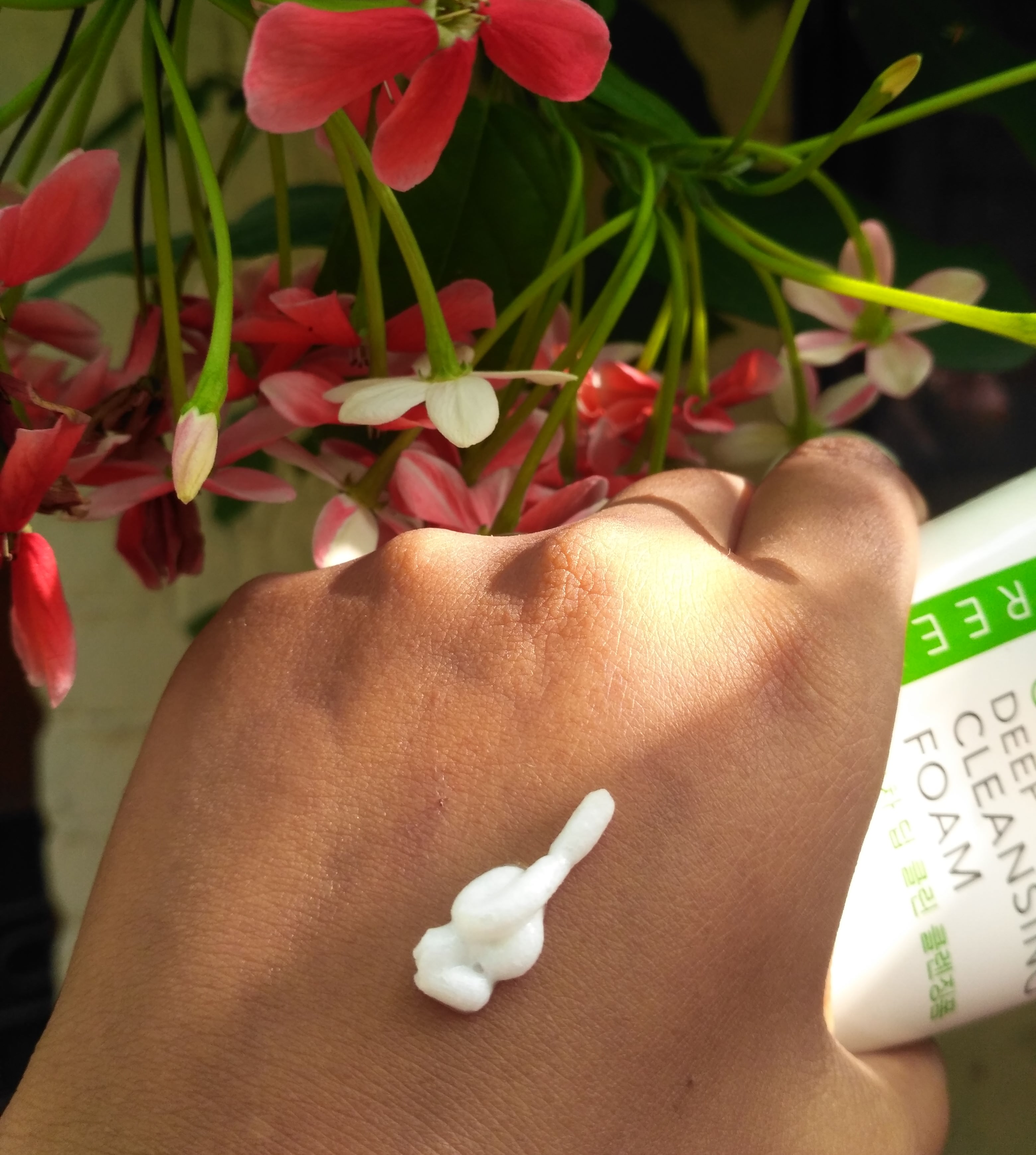 Miniso Green Tea Deep Cleansing Foam Face Wash Review