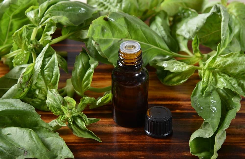 best essential oils for face